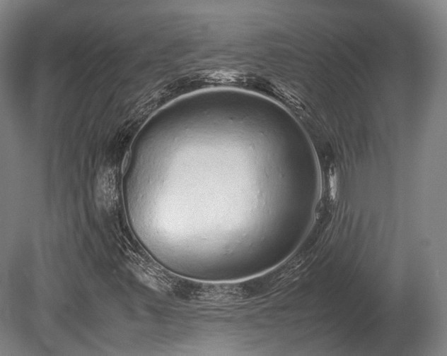 X0000080111347200612151636