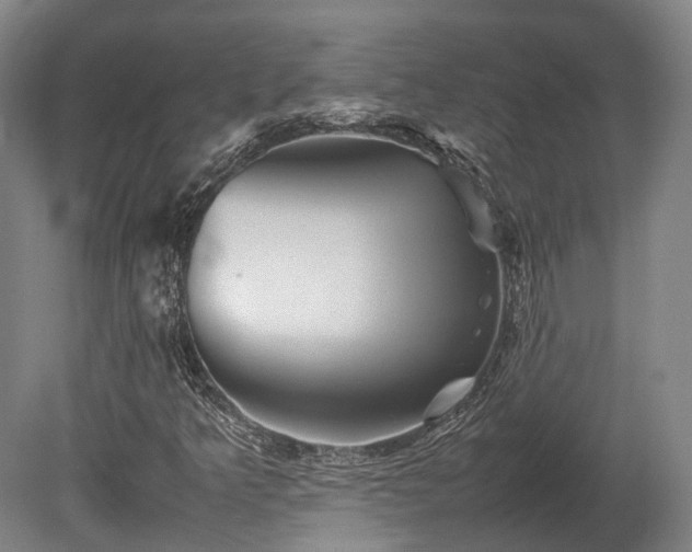 X0000080111349200612151636