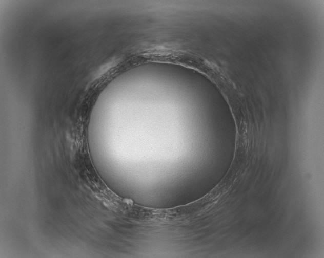X0000080111350200612151636