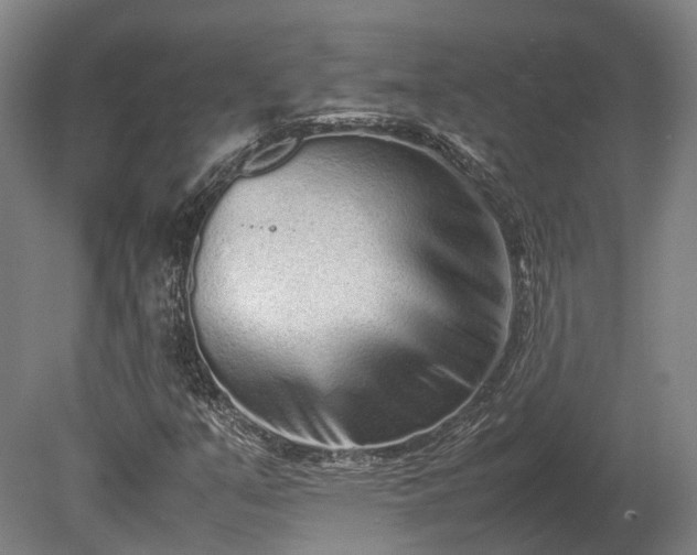 X0000080111351200612151636
