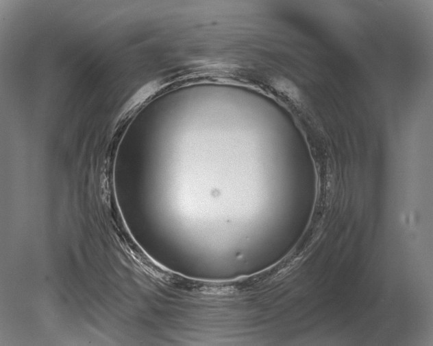 X0000080111354200612151636