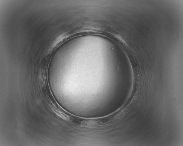 X0000080111355200612151636
