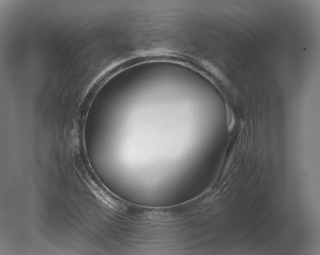 X0000080111356200612151636