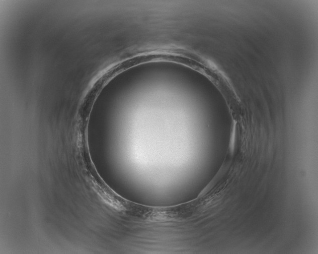 X0000080111360200612151636