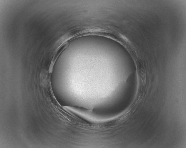 X0000080111361200612151636