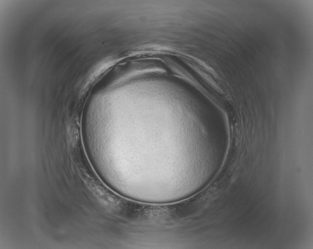 X0000080111363200612151636