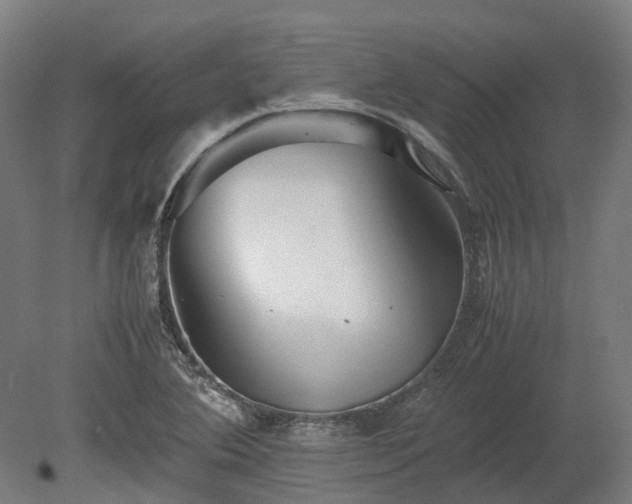 X0000080111364200612151636