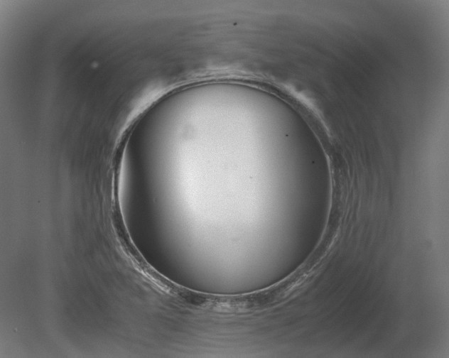 X0000080111365200612151636