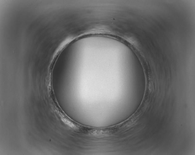 X0000080111366200612151636