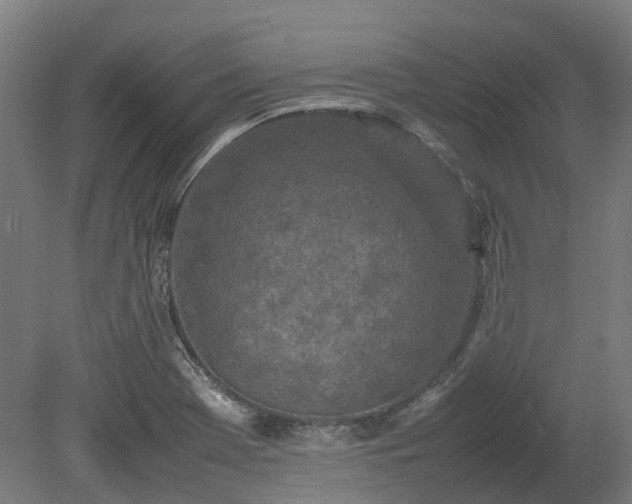 X0000080111369200612151636