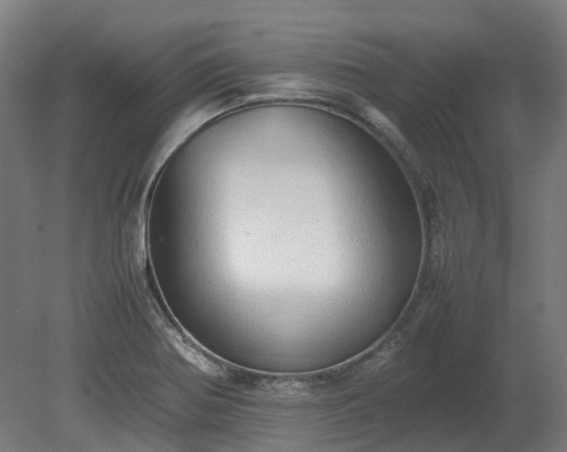 X0000080111370200612151636