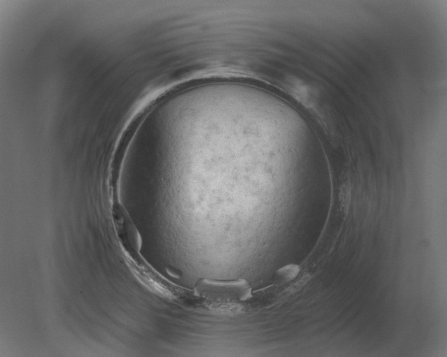 X0000080111372200612151636