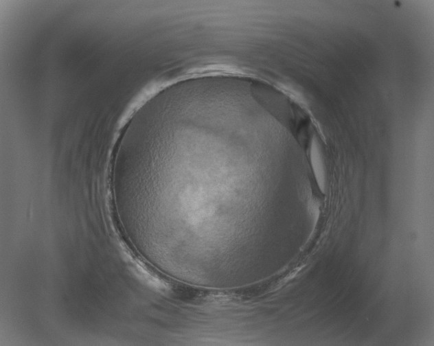 X0000080111373200612151636