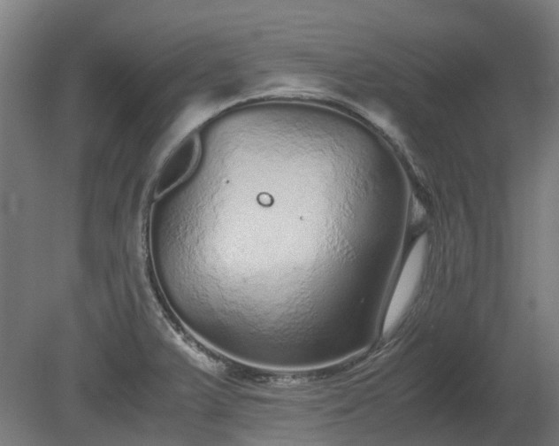 X0000080111375200612151636