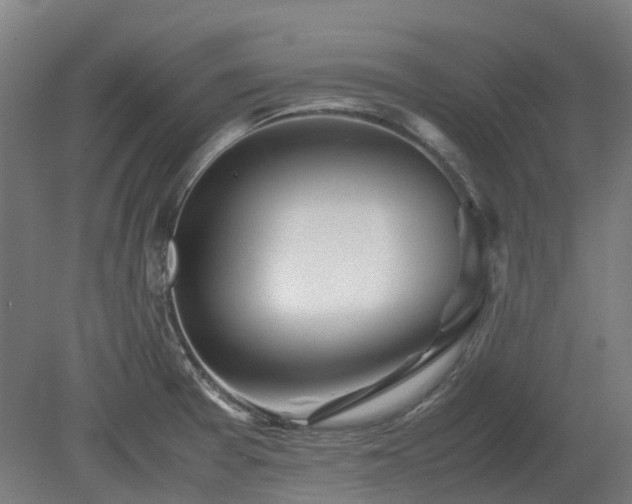 X0000080111377200612151636