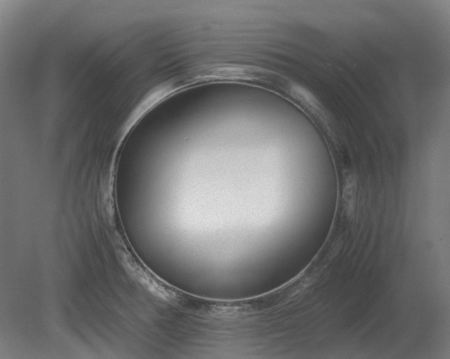 X0000080111378200612151636