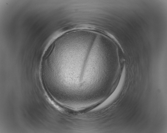 X0000080111379200612151636