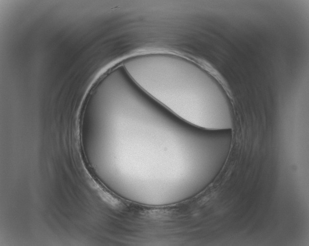 X0000080111380200612151636