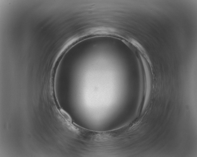 X0000080111384200612151635