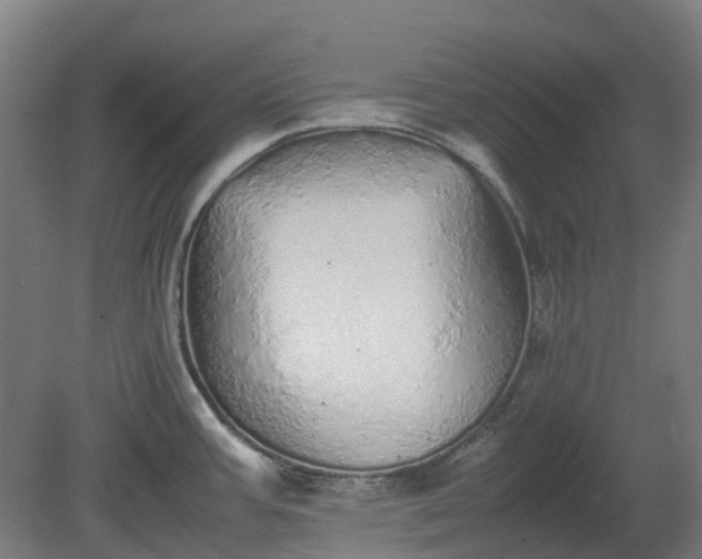 X0000080111387200612151635