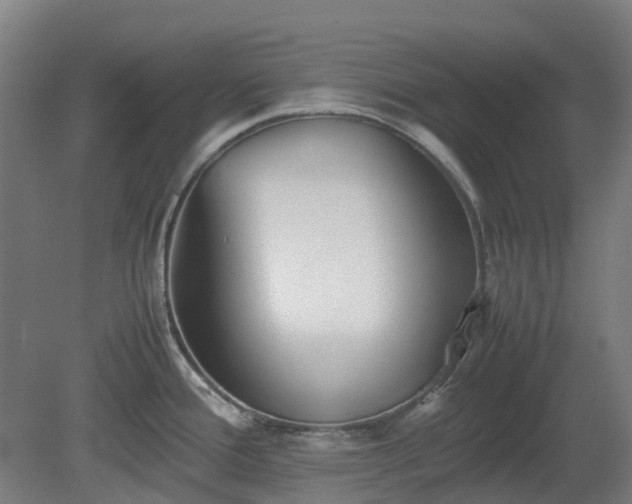X0000080111388200612151635