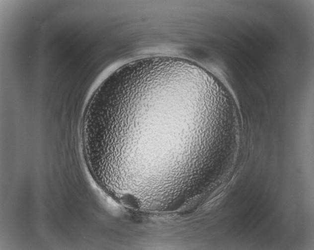 X0000080111389200612151635