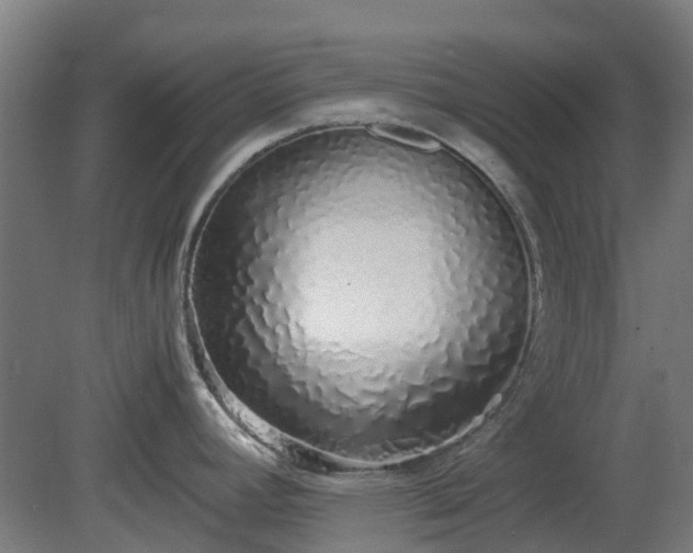 X0000080111392200612151635