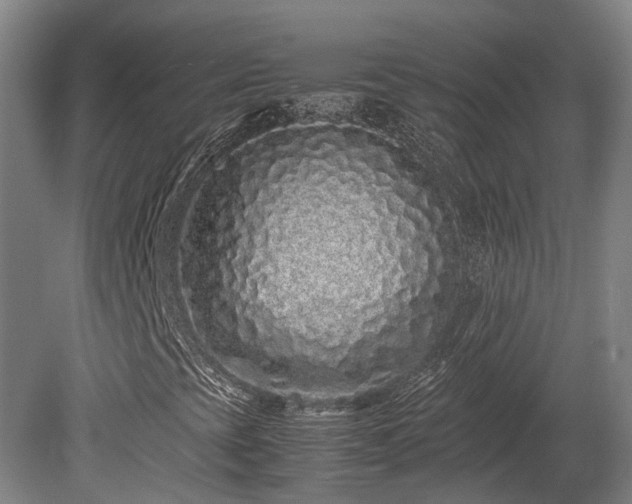 X0000080111393200612151634