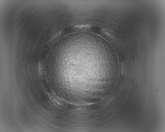 X0000080111395200612151635