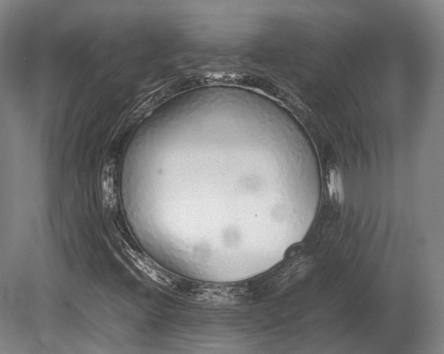 X0000080111396200612151635