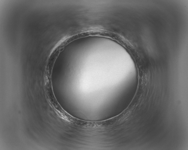 X0000080111400200612151635