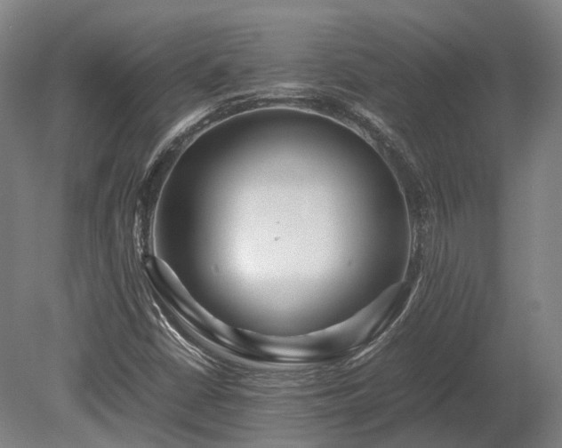 X0000080111402200612151635