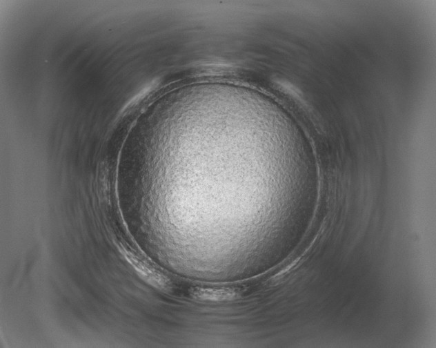 X0000080111403200612151635