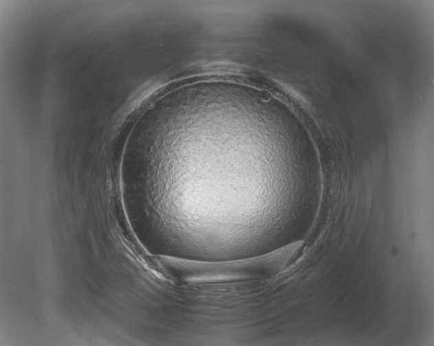X0000080111407200612151635