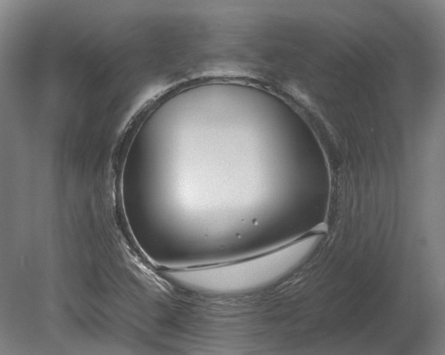 X0000080111408200612151635