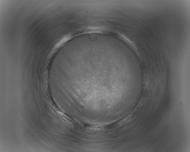 X0000080111411200612151635
