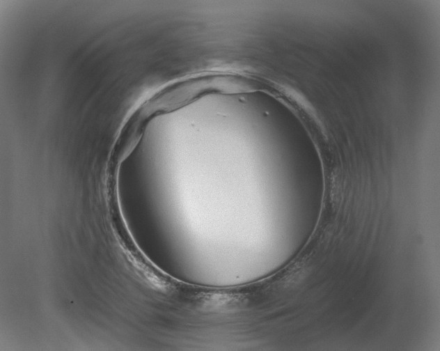 X0000080111412200612151635