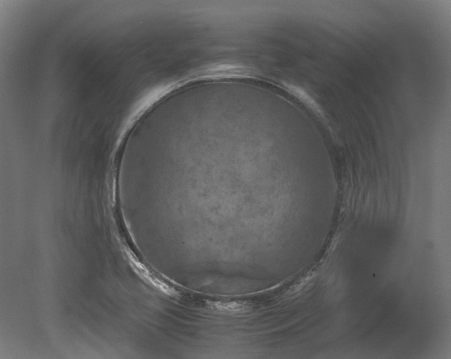 X0000080111413200612151635