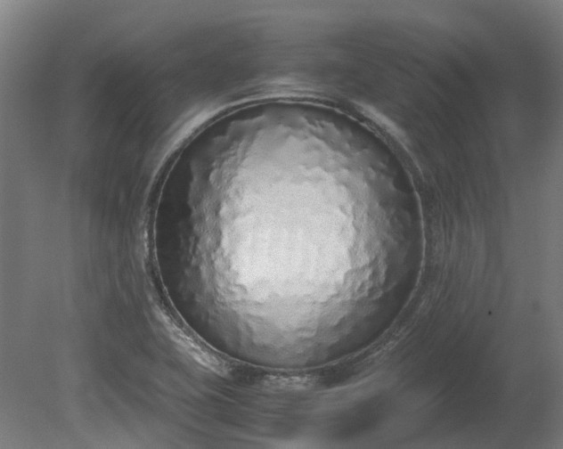 X0000080111415200612151635