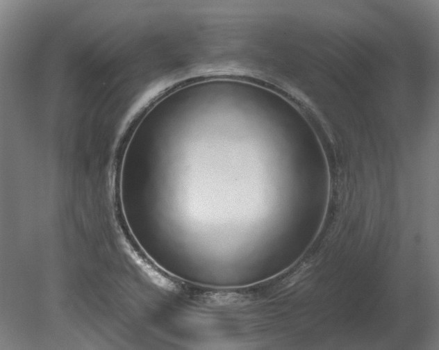 X0000080111416200612151635