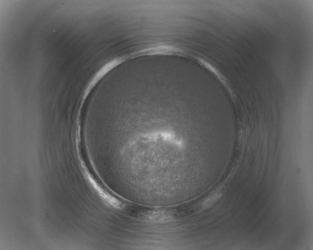 X0000080111418200612151635
