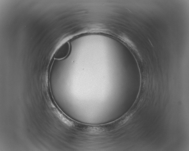 X0000080111420200612151635
