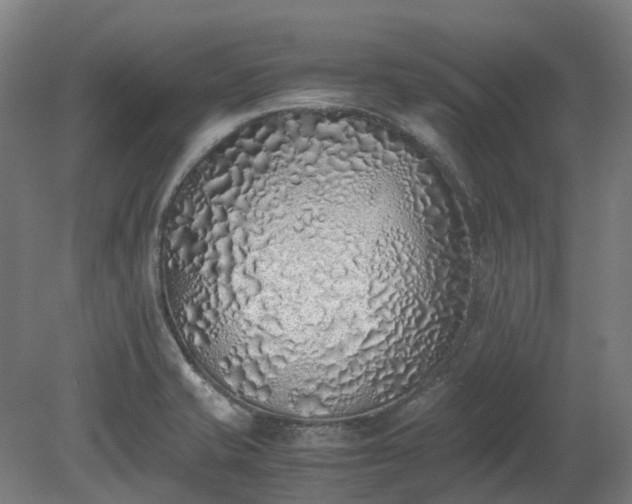 X0000080111421200612151635
