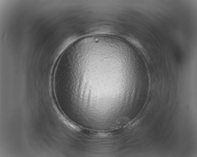 X0000080111423200612151635
