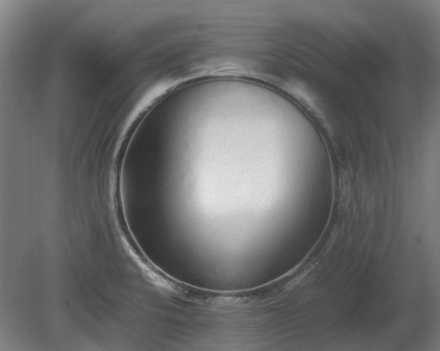 X0000080111424200612151635