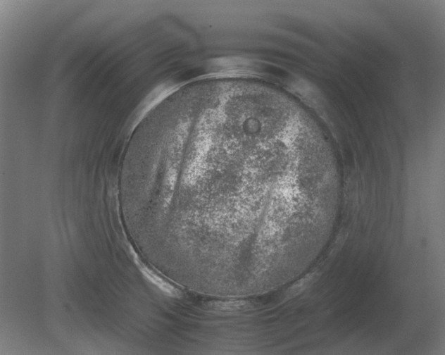 X0000080111425200612151635