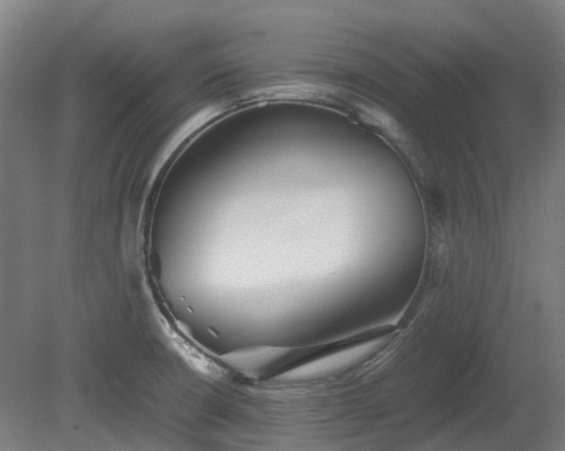 X0000080111426200612151635
