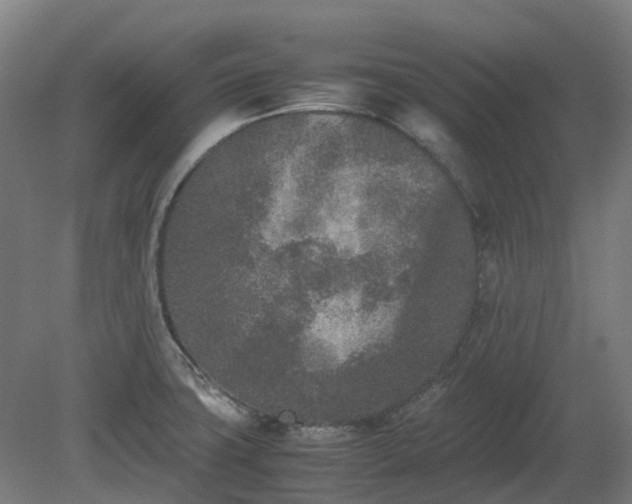 X0000080111427200612151635
