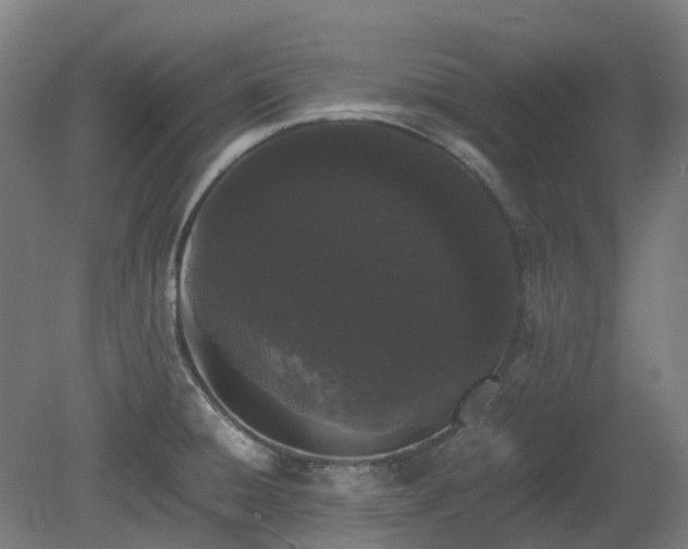 X0000080111428200612151635