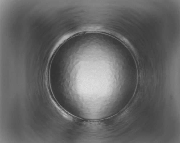 X0000080111432200612151635